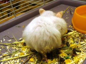 ???????????????????????????????