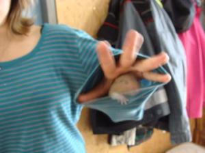 ???????????????????????????????