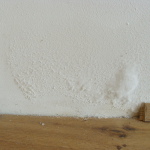 Schimmel wegen Feuchtigkeit Speis IV